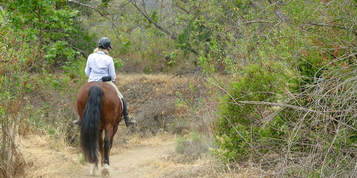 Horseback rider on the trail.