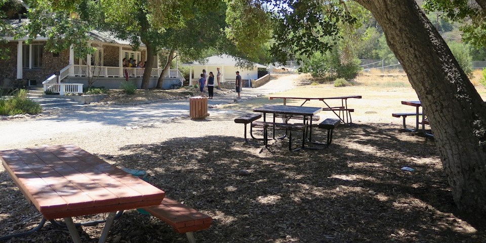 Picnic tables under shade of a large tree with people walking around the old ranch house in the background