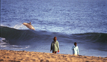 ZUMA BEACH, CALIFORNIA, USA - Lifeguard watching swimmers on Zuma