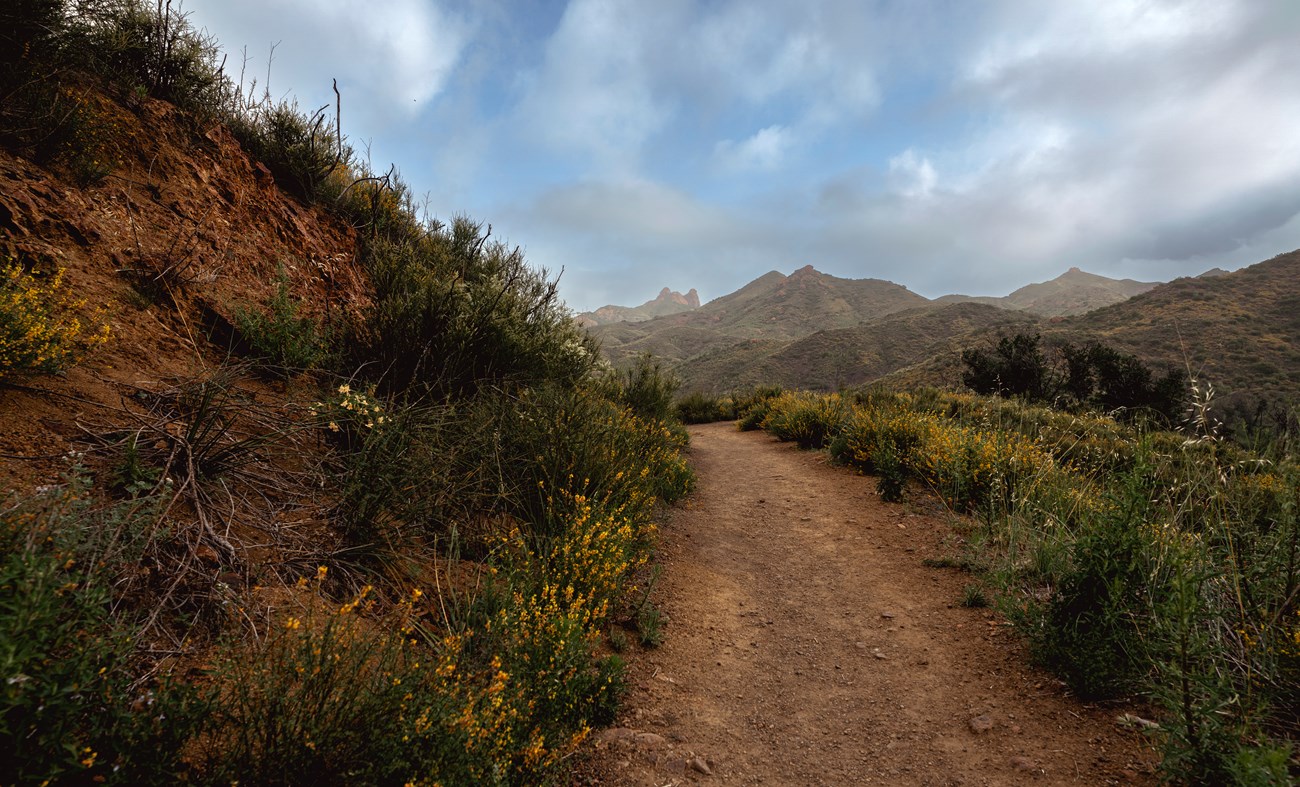 Trail view that leads to green mountains against a blue sky.