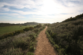 charmlee wilderness