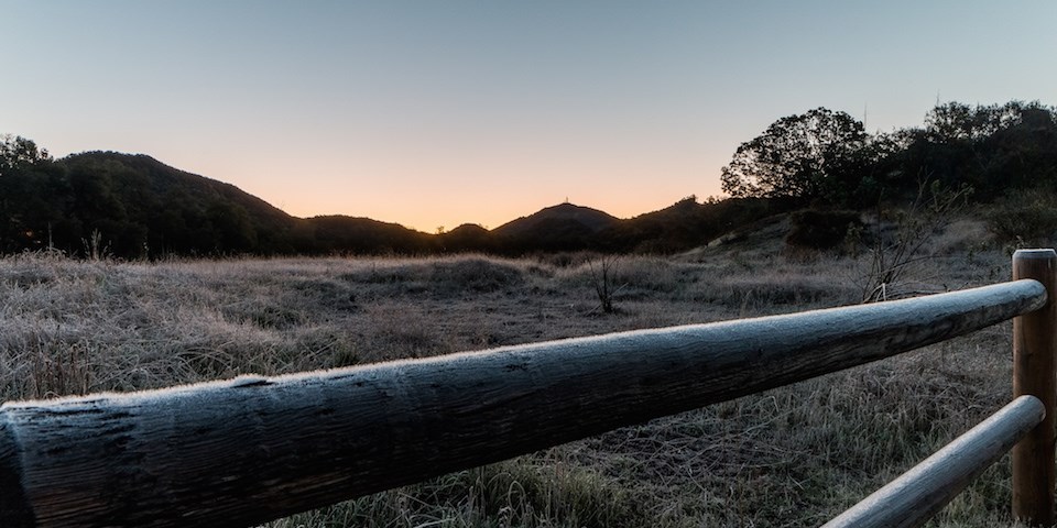 wooden fence