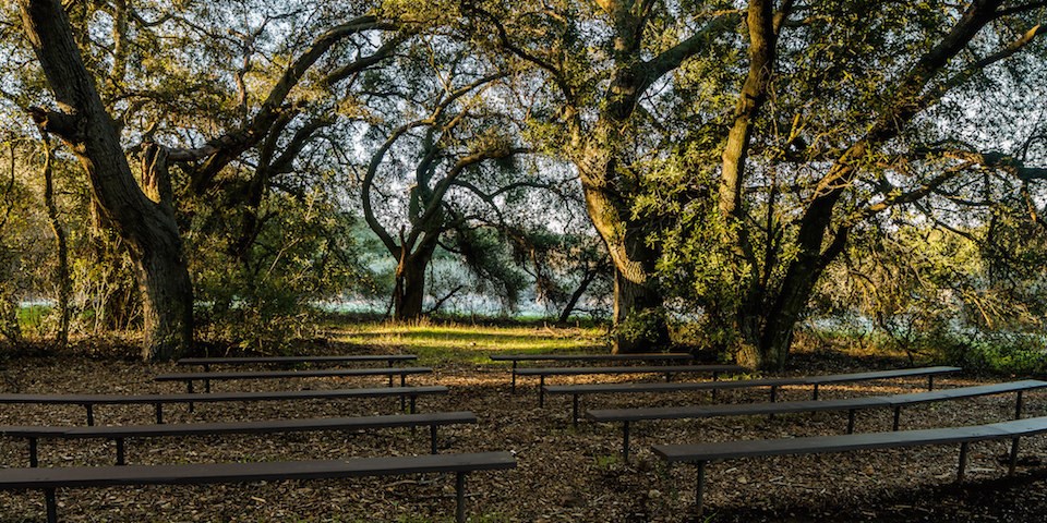 Benches under oak trees