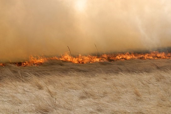 Image of a fire on the prairie.