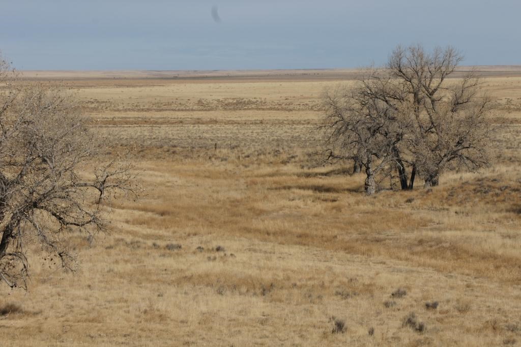 Sand Creek today viewed from the bluffs.