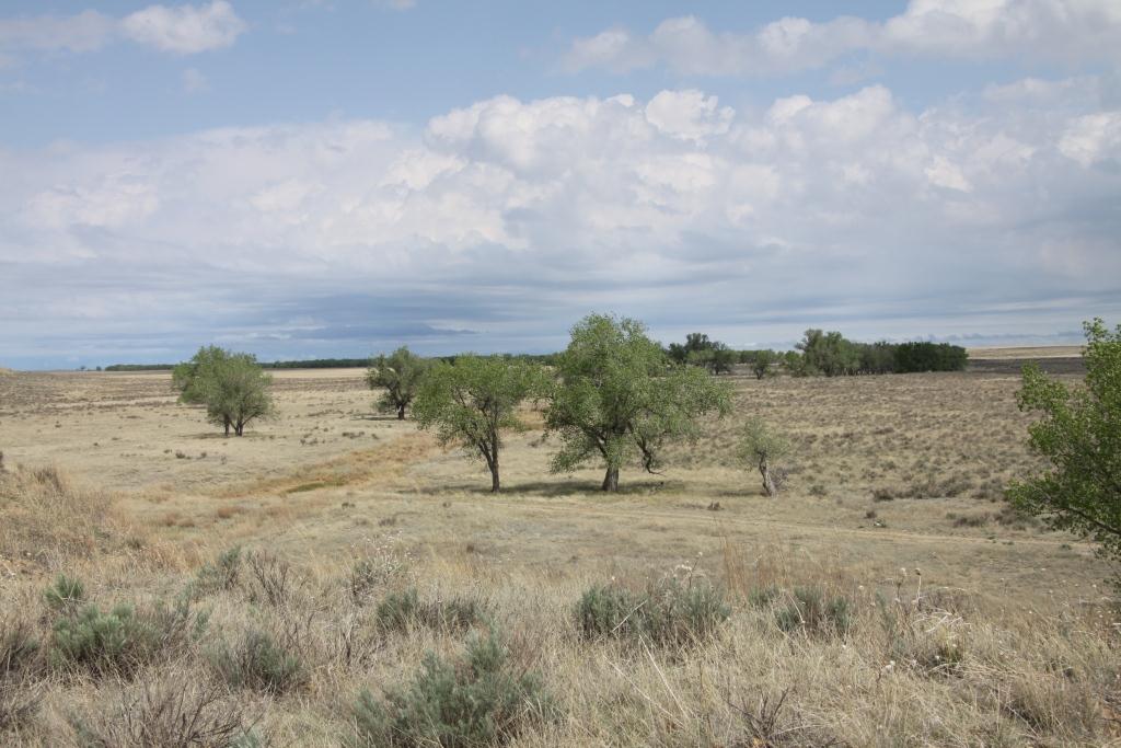 Massacre Mistrust and Misery December 2014 Sand Creek Massacre