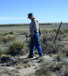 Metal detection was part of the archaeology survey of the site location study