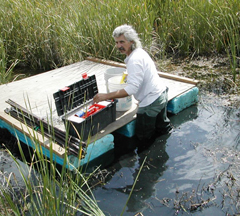 A park ranger collects sediment cores from a pond