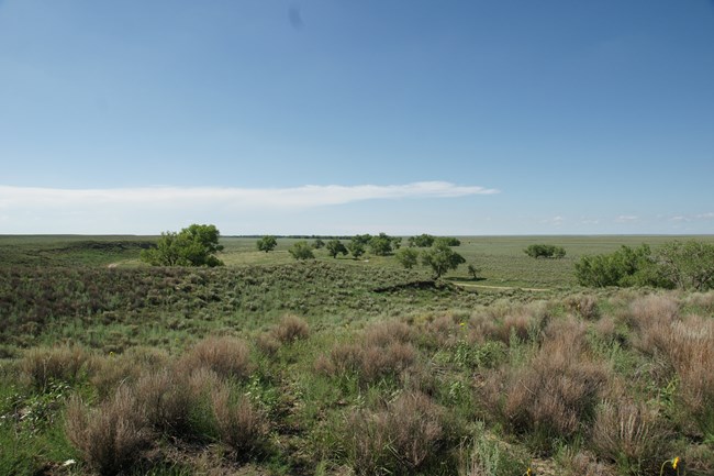An August view of the village site from the overlook
