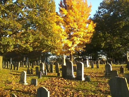 Cemetery, with gravestones various sizes and shapes