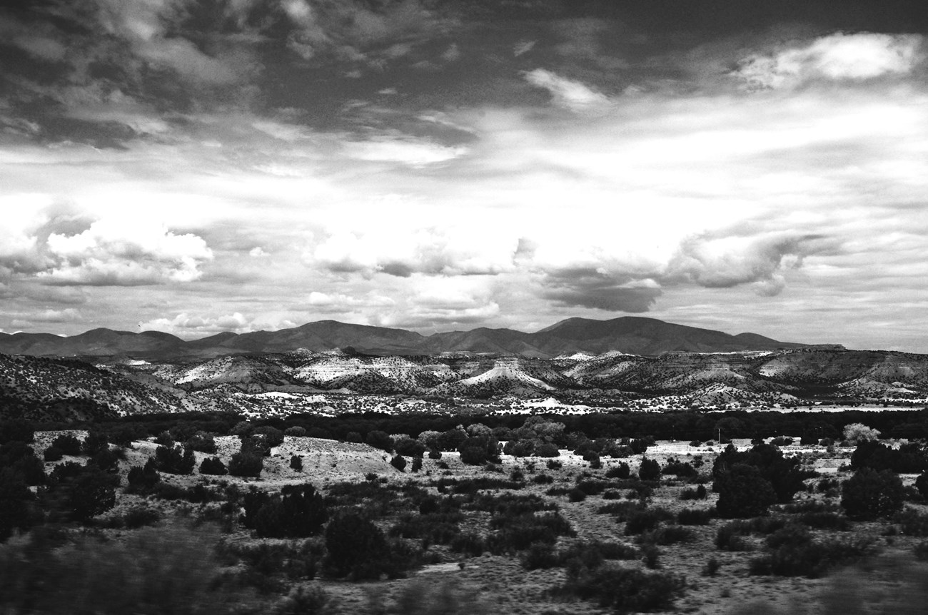 Desert Landscape