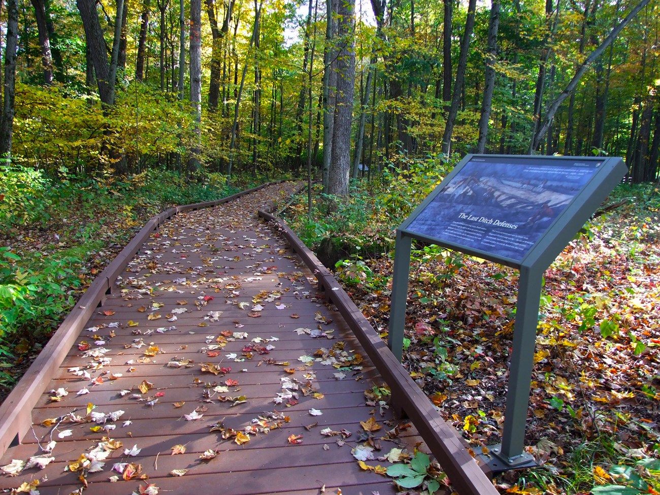 Boardwalk path through woods with wayside sign on right