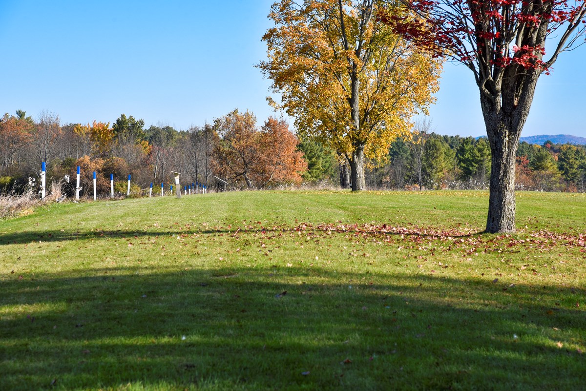 On the left side, a row of blue topped, white markers for a line into the distance through a grassy field. Two trees run parallel to the line on the right, also going into the distance