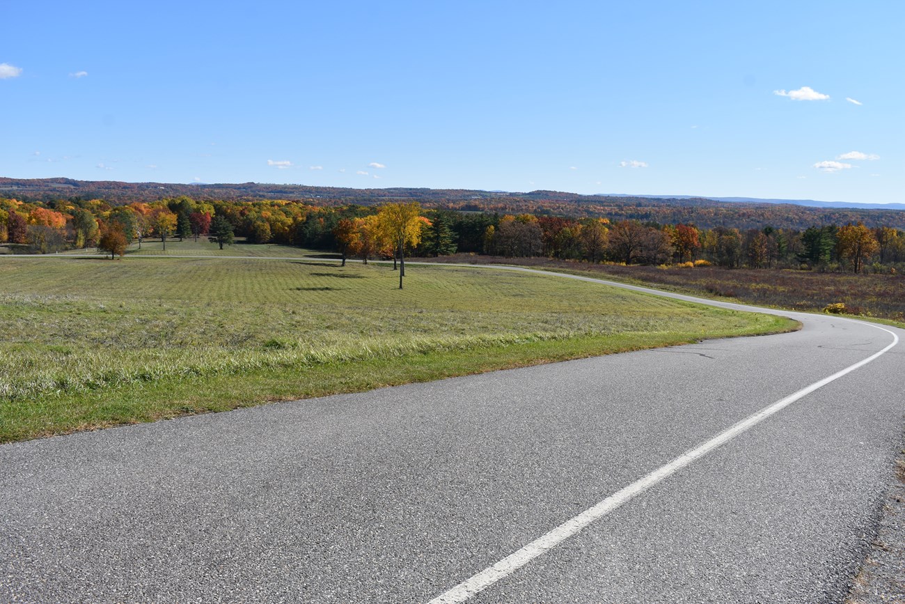 A road curves down a hil through green vegetation.