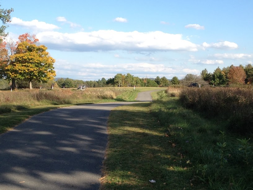 Paved pathway through a grassy field