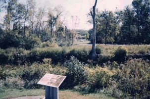 An interpretive sign describing the scene in the background. The mixed field grass and woody-stem plants cover the ground where the Taylor Cabin stood. An interpretive sign describing the scene in the background. The mixed field grass and woody-stem plants cover the ground where the Taylor Cabin stood.
