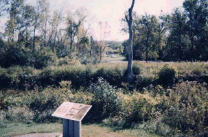 An interpretive sign describing the scene in the background.  The mixed field grass and woody-stem plants cover the ground where the Taylor Cabin stood.