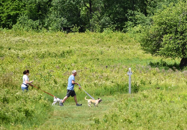 Two people and two dogs on leash on a hiking trail