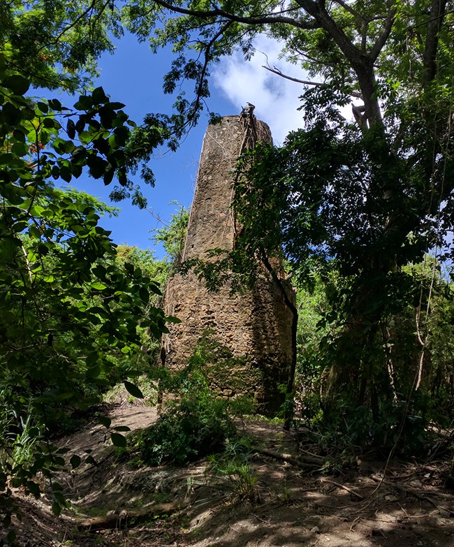 View of historic stone masonry well tower through the trees