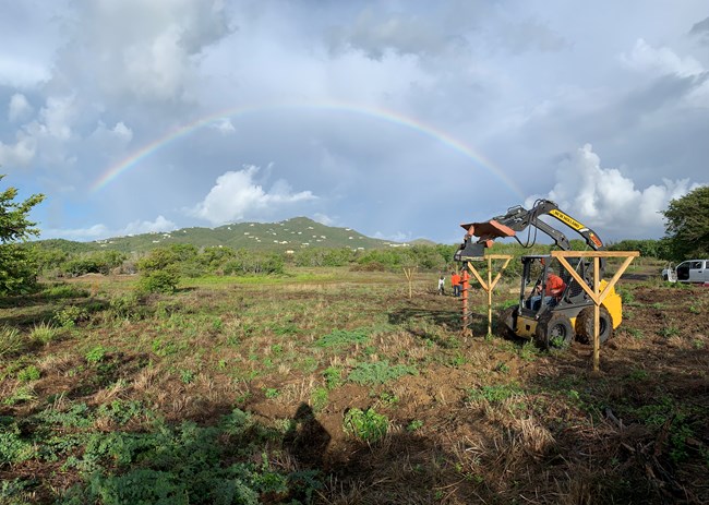 auger drilling a hole for planting a native tree, with rainbow in the background