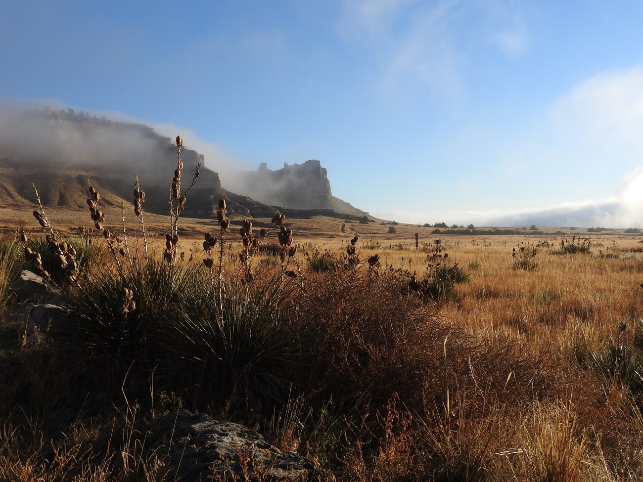 Fog begins to lift around a sandstone bluff.