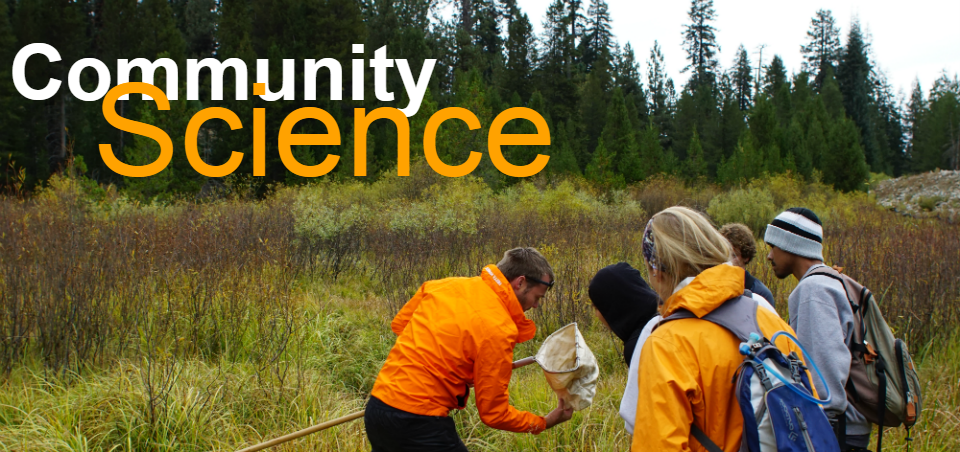 A park scientist works with volunteers.