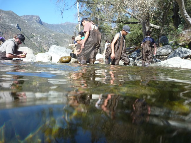 students collect data in a stream