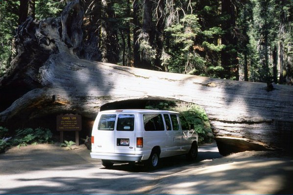 A white van drives through a tunneled-through log next to a sign with the legible words "Tunnel Log"