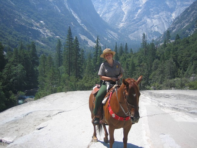 Ranger on a horse in foreground, forest and mountains in background