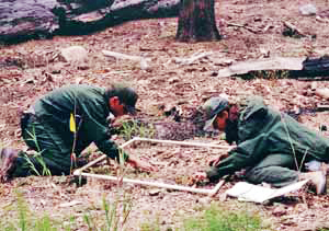 Two restoration workers count vegetation within a marked plot.