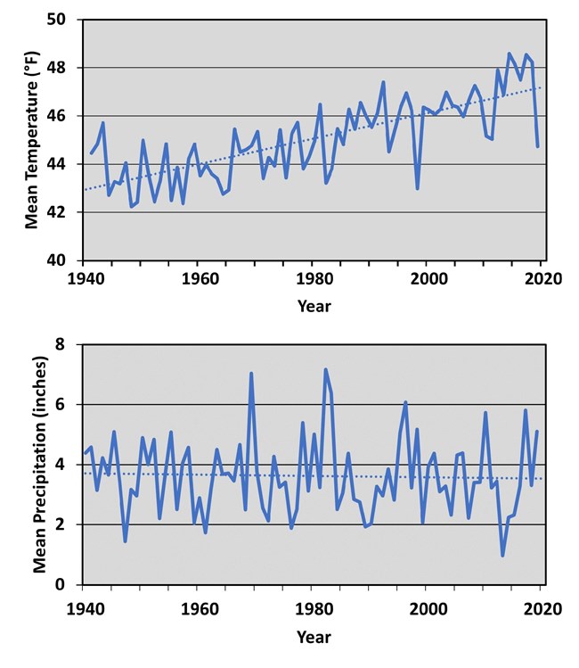 Upper graph shows an increasing trend in precipitation and lower graph shows variable precipitation but no notable trend, 1940-2019