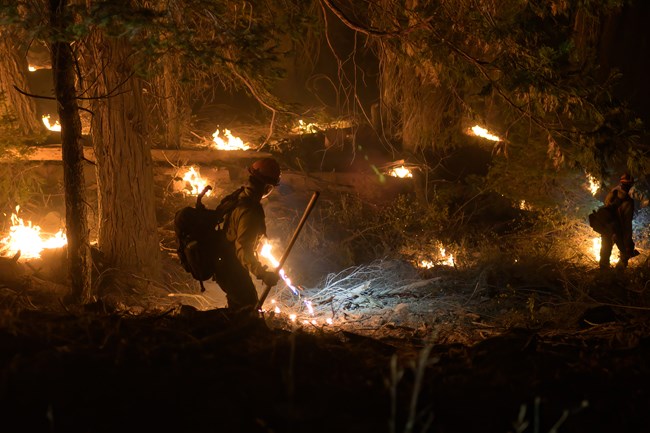 During the cooler, more humid nighttime hours, firefighters use drip torches to burn fuels between road and the fire.