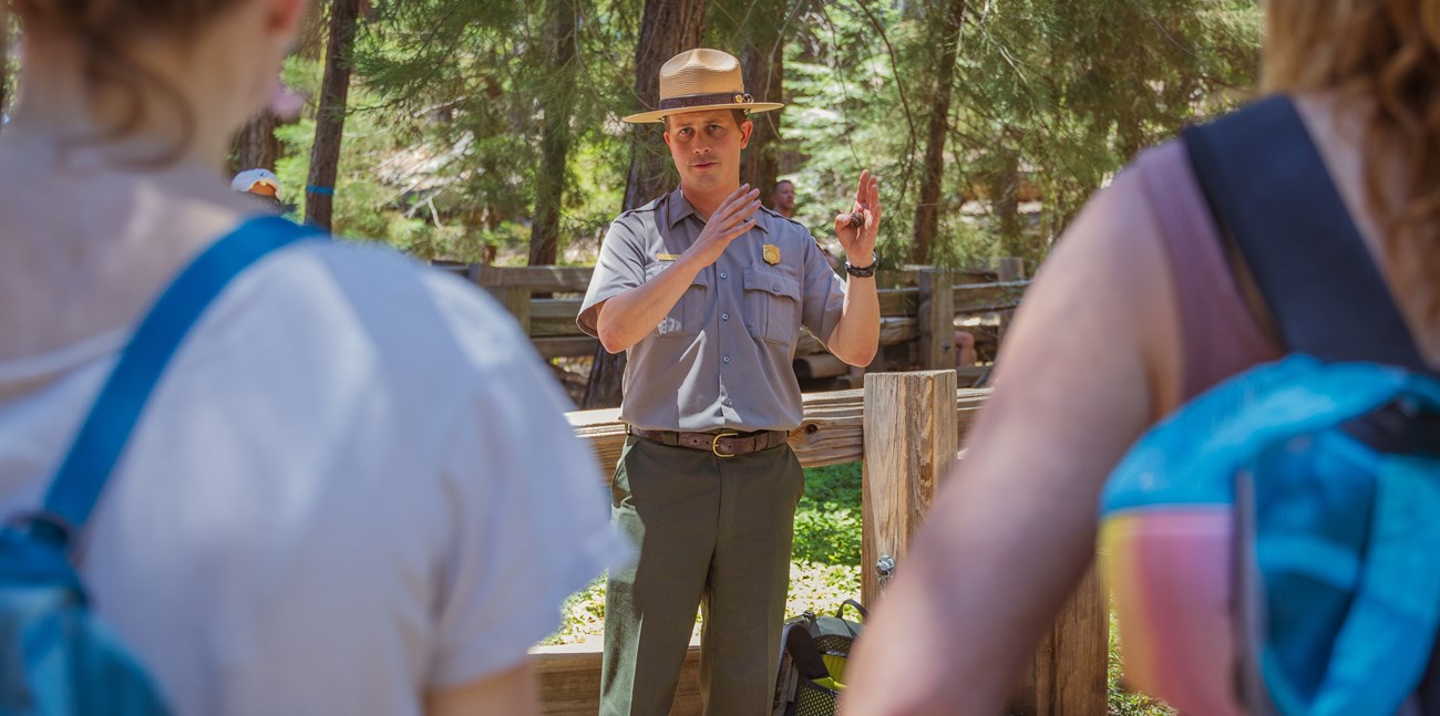 A ranger holding a sequoia pinecone talks to a group of visitors.