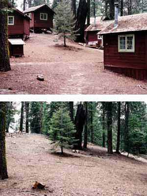 A restored zone (2004) in the former Lower Kaweah visitor rental cabin area.