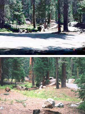 Above is a restored stream (2004) near the former Giant Forest Lodge area.
