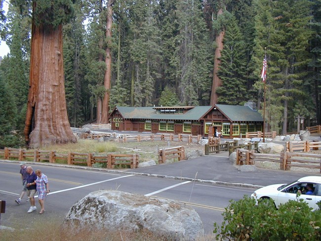 the Giant Forest Museum with visitors walking in the crosswalk