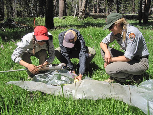 Field biologists examine soil sample to characterize park wetland. Field biologists examine soil sample to characterize park wetland.