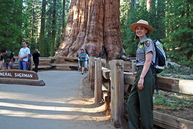 A ranger prepares to give a talk at the General Sherman tree.