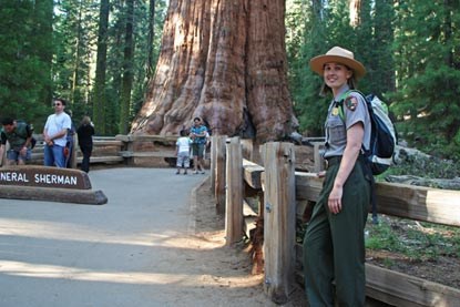 Ranger in front of giant tree