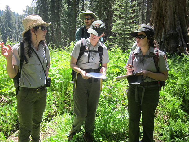 National Park Service biologists in a meadow discussing wetland mapping methods. National Park Service biologists in a meadow discussing wetland mapping methods.