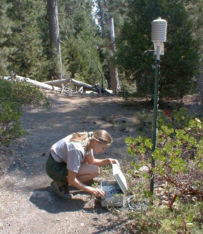 Air quality technician checks equipment at Sequoia National Park  monitoring site.