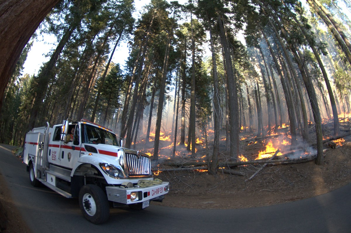 Photo of fire truck near a low intensity prescribed burn in mixed-conifer forest.