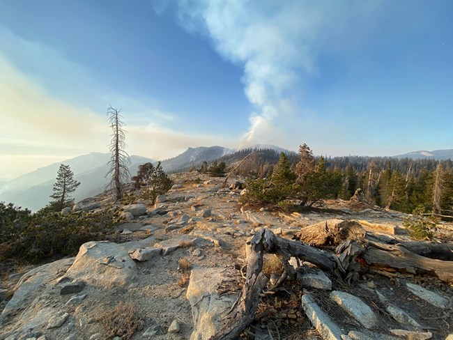 A white smoke column in the distance is seen from a rocky plateau with conifer trees to the right and mountains to the left.