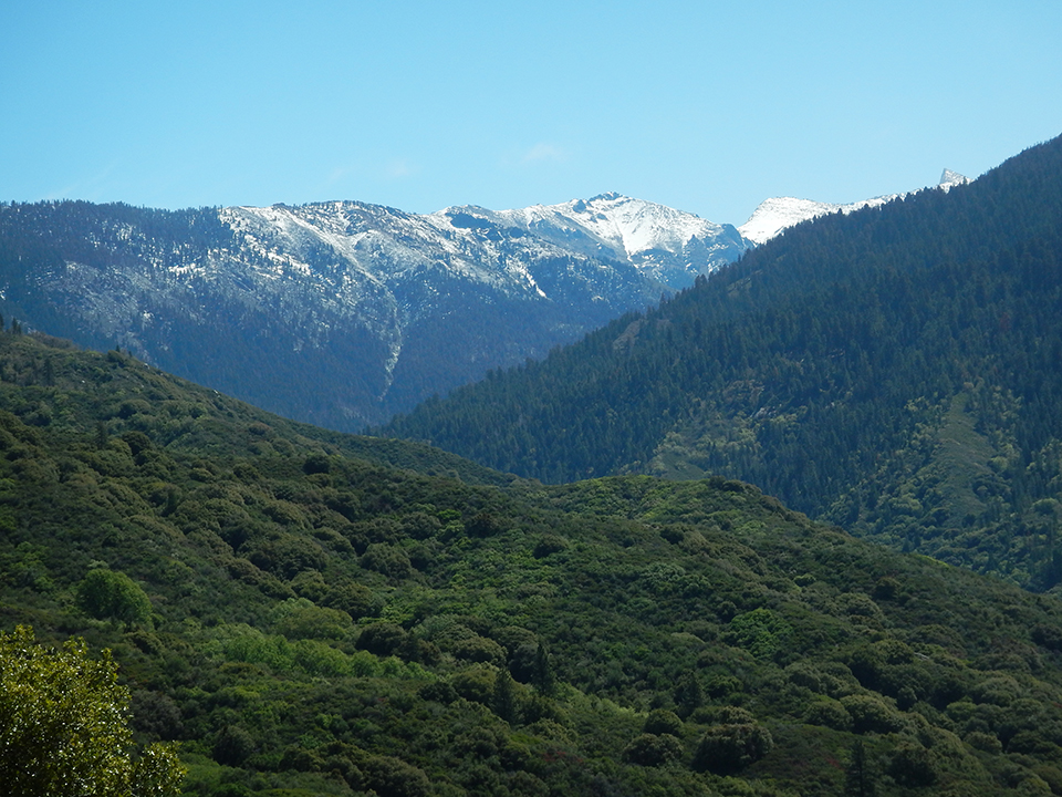 Foothills - Sequoia & Kings Canyon National Parks (U.S ...
