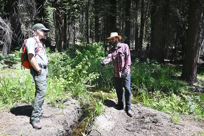 A man in a National Park Service field uniform stands near a small water-filled gully flowing into wetland at the edge of a forest, talking with a scientist in jeans, long-sleeved shirt and sun hat.