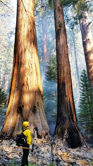 Goliath Prescribed Burn 2016 Goliath Prescribed Burn 2016