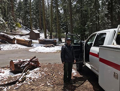 A firefighter stands in a snowy forest near cabins.