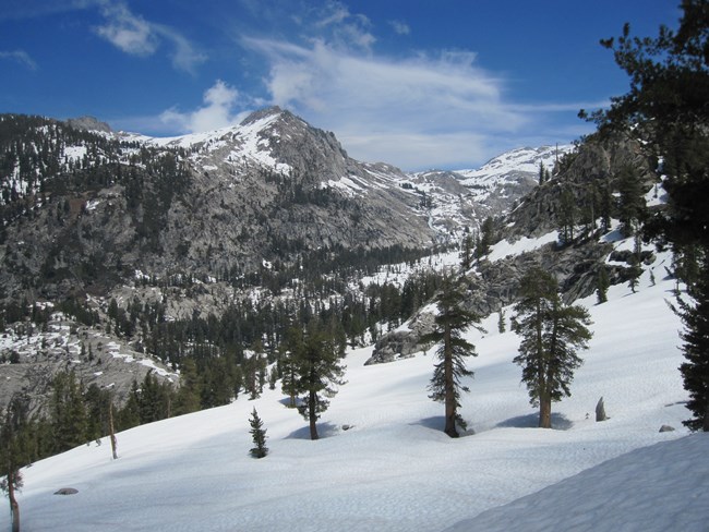 View of a snowy slope with conifer scattered conifer trees and rugged granite slopes and peak in distance with patches of melting snow.