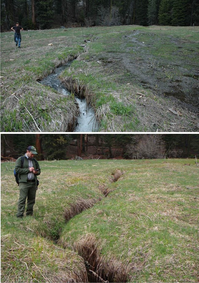Upper image shows a woman standing near narrow stream channel in a meadow with rapidly flowing water visible. The lower photo shows a man standing by the same channel in 2016 - it is much more deeply cut into the meadow.