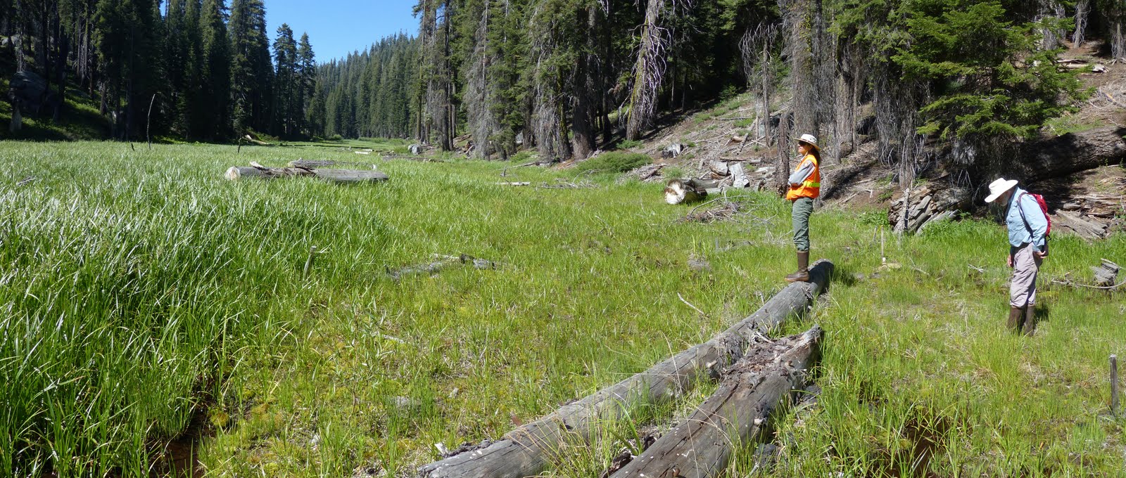 Two scientists in highboots, sun hats, and field clothes ook at meadow plants and wetland landscape in front of them, happy to look over a restored wetland.